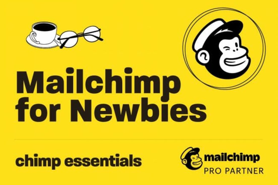 Mailchimp for Newbies by Chimp Essentials